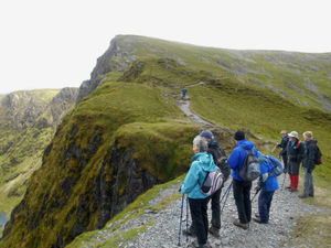 Supporting image for story: Innovation key in Covid crisis