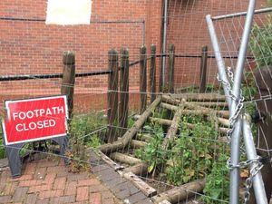 Supporting image for story: Decision to delay bridge and boardwalk repairs questioned