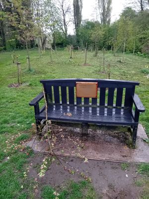 The latest attack has destroyed almost every tree in the Covid Memorial Woodland. Photo: David Jones