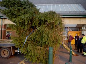 Supporting image for story: Tree of Light: Market Drayton's annual appeal is back with giant tree installed