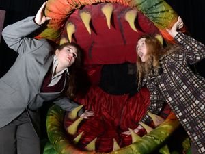 Supporting image for story: Telford pupils getting their teeth into stage show
