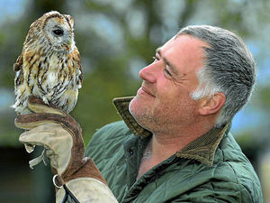Supporting image for story: Injured owl Skye is released back into wild after help from volunteers