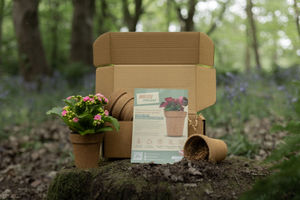 The innovative new biodegradable plant pots from WasteProjekt. Pic: @mattpgraphy2 