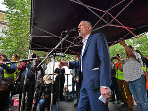 Supporting image for story: Fabricant: Anti-Trump protesters are hypocrites