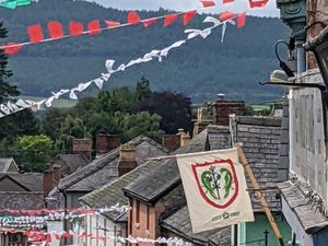 Supporting image for story: Market town is in the mood for a weekend knees up