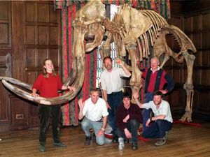Supporting image for story: Mammoth bones X-rayed