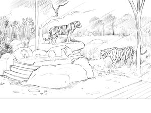 Supporting image for story: Tiger lodges at West Midland Safari Park given green light