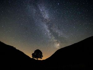 Supporting image for story: Hidden ‘fossil galaxy’ discovered deep within the Milky Way