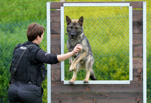 PC Kim Coates with PD Reacher, the force's newest recruit