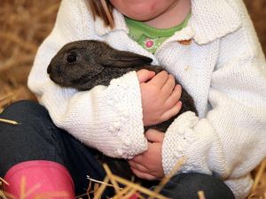 Supporting image for story: The two key health benefits of growing up on a farm, according to a new study