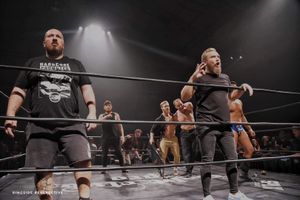 Supporting image for story