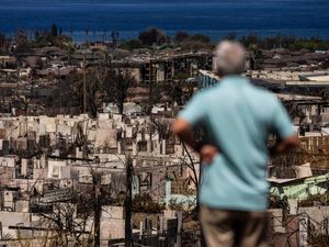 Supporting image for story: Study – Almost 75% of Maui wildfire survey participants have respiratory issues