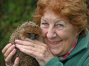 Supporting image for story: Staffordshire hedgehog hero awarded prestigious British Empire Medal for her decades of wildlife work