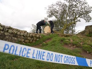 Supporting image for story: Sycamore Gap accused ‘could not understand’ outcry because it was ‘just a tree’