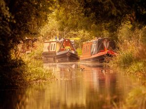 Supporting image for story: Online group captures fun of photography and lifts spirits 