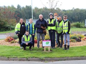 Supporting image for story: Horticulture students transform overgrown roundabout near Shrewsbury