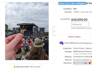 Supporting image for story: £65,500 bid for Dudley eBay seller's grass from Liam Gallagher Knebworth gig  