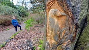 Dorothy Clive Gardens