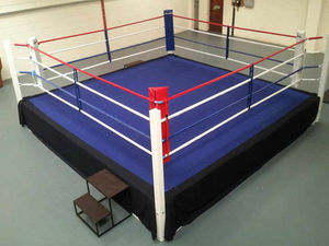 Supporting image for story: Merridale lad flies the Black Country flag