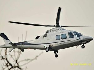 Supporting image for story: Using a long lens #photography