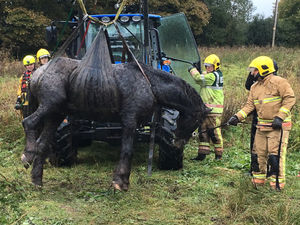 Supporting image for story: Firefighters rescue nearly two animals a week in Staffordshire