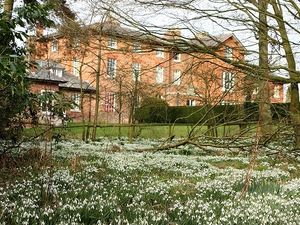 Supporting image for story: Shrewsbury snowdrop garden opened to public to support cancer patients