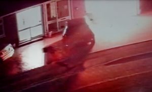 The suspected arsonist could be seen on CCTV smashing a window before setting the interior of the house alight and fleeing