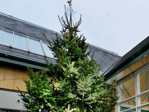 Supporting image for story: Market Drayton Tree of Lights charity appeal is saved  