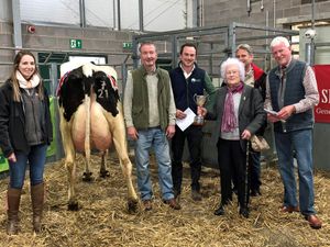 Supporting image for story: Best dairy trade of the year reported at Shrewsbury Auction Centre