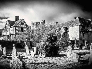 Supporting image for story: Latest Star Witness photography winners