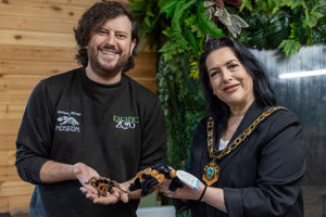 Mayor Eileen Callear facing her spider fears with Scott Adams from the Exotic Zoo and a tarantula. Picture: Telford & Wrekin Council