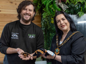 Supporting image for story: Watch ‘Terrified’ Telford mayor hold tarantula as she faces her fears