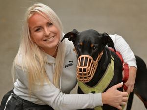 Supporting image for story: Dog who has spent seven years in kennels to finally get new home