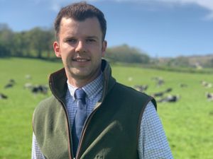 Supporting image for story: Be mindful of other business risks during pandemic 