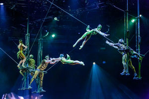 Cirque du Soleil OVO. Pictures by: Chris Bowley