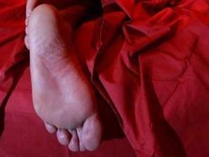 Supporting image for story: Don't let the bed bugs bite