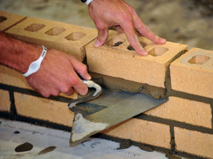 Supporting image for story: Review of Shropshire's green belt 'possible' if Black Country can't meet housing needs