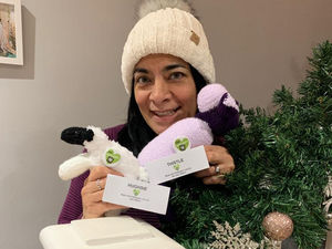 Supporting image for story: "Lost sheep" find their way to boost town