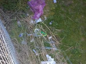 Supporting image for story: Newtown residents pledge to clean up town after used needles are found