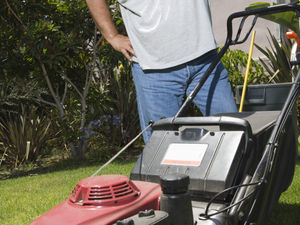 Supporting image for story: Andy Richardson: Too many machines when one man went to mow...