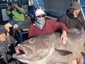 Supporting image for story: Shropshire mum catches fish 'the size of a settee' off Australian coast