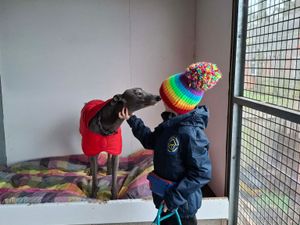 Supporting image for story: Freddy’s paw-some journey as Home Run Hounds’ youngest volunteer