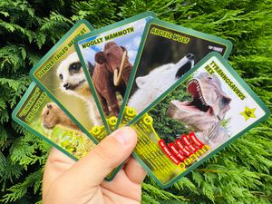 Supporting image for story: Telford zoo launches 'Top Trumps' set along with themed experience