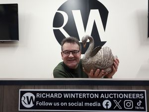 Supporting image for story: Bids fly in as silver swan tops £6,000 at Lichfield sale