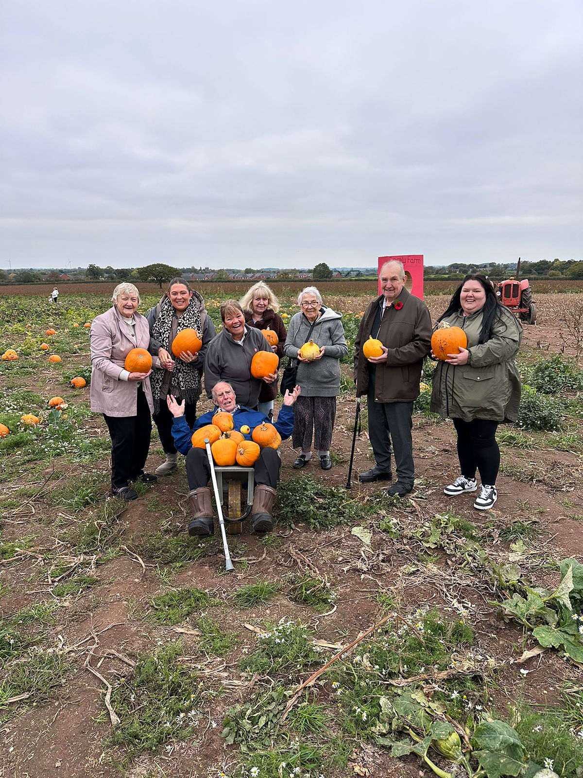 Fun-filled pumpkin picking at Lower Drayton Farm