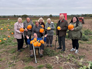 Supporting image for story: Fun-filled pumpkin picking at Lower Drayton Farm