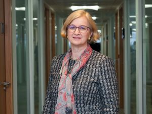 Supporting image for story