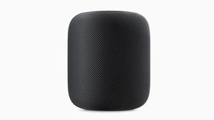 Supporting image for story