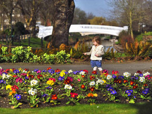 Supporting image for story: Sunshine puts a spring in the step after weeks of torrential rain - send us your pictures