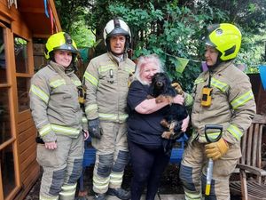 Supporting image for story: Firefighters save fox chasing dog after two tonnes of rubble collapsed on him